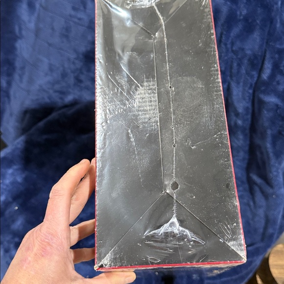 Flip Lid Ice Chill Tray - Clear Food & Ice Serving Tray - Picture 6 of 6